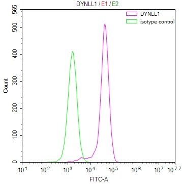 PIN/DLC8 Antibody (20A1)