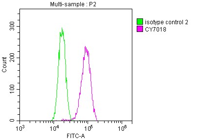 Dynamin 2 Antibody (1D8)