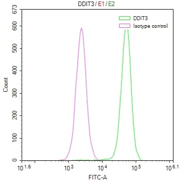 GADD153/CHOP Antibody (17A10)