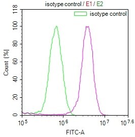 COP9 Antibody (3F9)