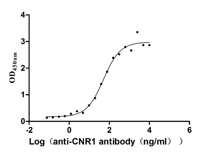 Cannabinoid R1/CB1/CNR1 Antibody (2A1)