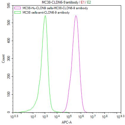 Claudin-6 Antibody (9H8)