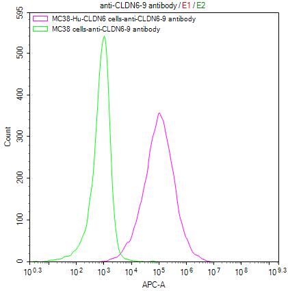 Claudin-6 Antibody (9H8)