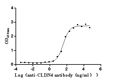 Claudin-4 Antibody (8G7)