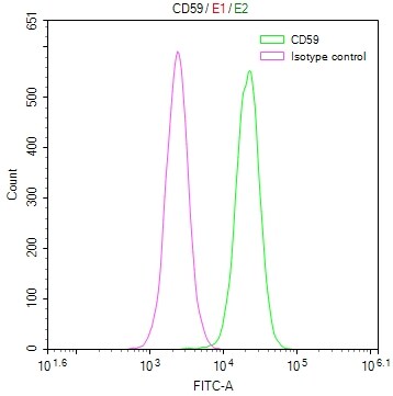 CD59 Antibody (28D4)
