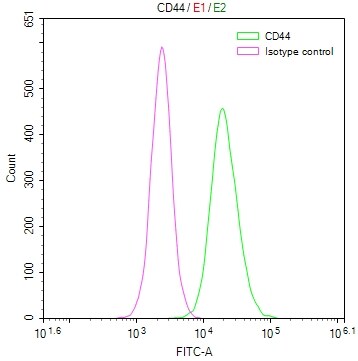 CD44 Antibody (19H12)
