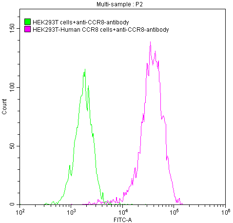 CCR8 Antibody (2C6)