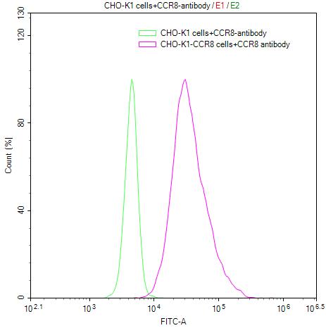 CCR8 Antibody (2C10)