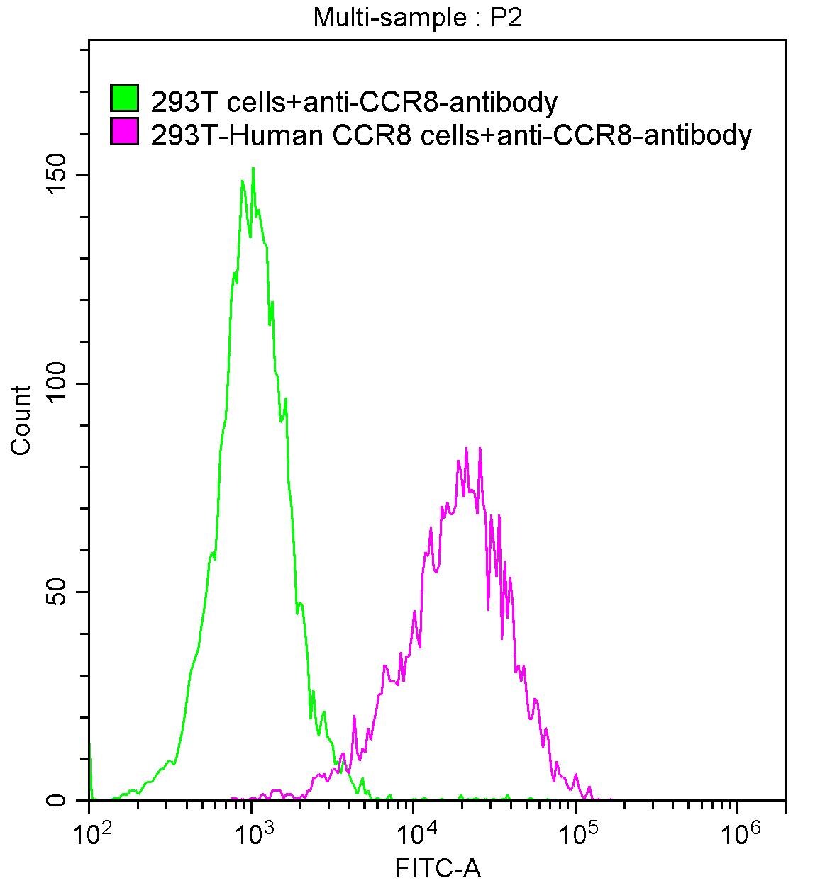 CCR8 Antibody (10A9)