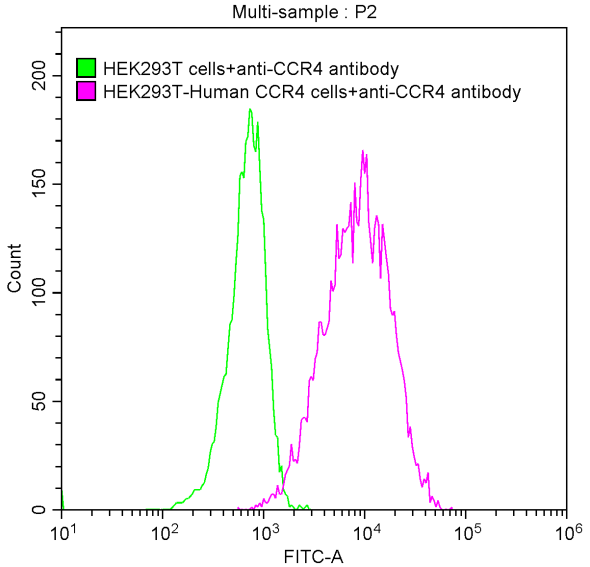 CCR4 Antibody (12F5)