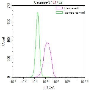 Caspase-9 Antibody (8G5)