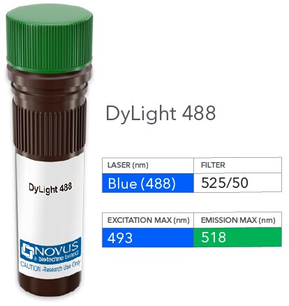 LRH-1/NR5A2 Antibody (PCRP-NR5A2-1B8) [DyLight 488]