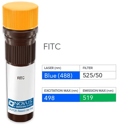 ZSCAN5 Antibody (PCRP-ZSCAN5A-2H4) [FITC]