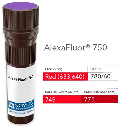 CBF2 Antibody (PCRP-CEBPZ-2D8) [Alexa Fluor® 750]