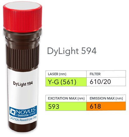 CBF2 Antibody (PCRP-CEBPZ-2D8) [DyLight 594]