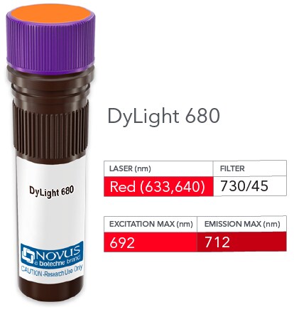 CBF2 Antibody (PCRP-CEBPZ-2D8) [DyLight 680]