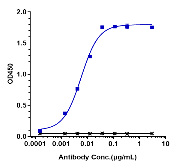 ErbB2/Her2 Antibody (trastuzumab) - Humanized