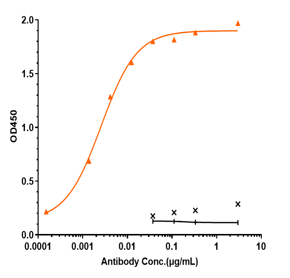 ICAM-1/CD54 Antibody (bersanlimab)