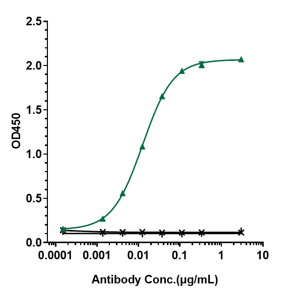 CD20 Antibody (rituximab) - Humanized