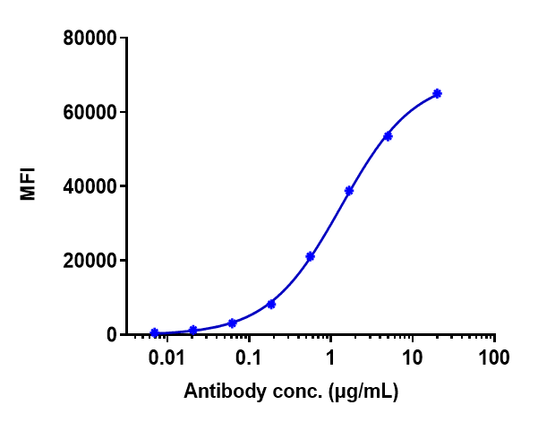 CD20 Antibody (rituximab) - Humanized
