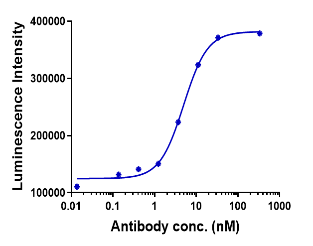TIGIT Antibody (tiragolumab)