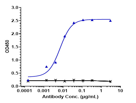 VEGFR2/KDR/Flk-1 Antibody (ramucirumab)