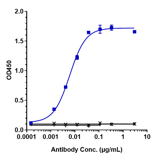 CTGF/CCN2 Antibody (pamrevlumab)