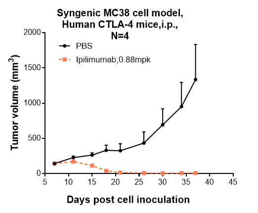 CTLA-4 Antibody (ipilimumab)