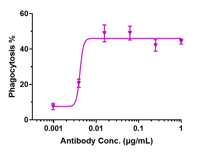 CD47 Antibody (lemzoparlimab)