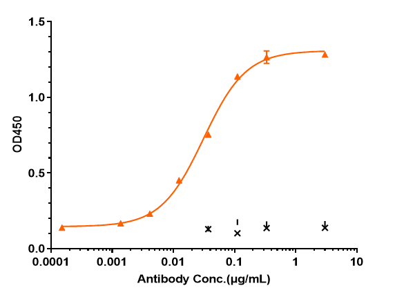 TRAILR2/TNFRSF10B Antibody (conatumumab)