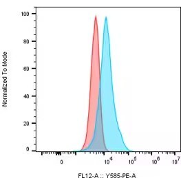 Axl Antibody [PE] - (Research Grade mipasetamAb Biosimilar)
