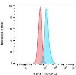 Axl Antibody [PE] - (Research Grade tilvestamab Biosimilar)