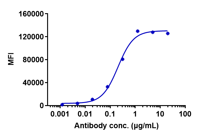 EGFR Antibody (zalutumumab)