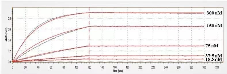 BTN2A1 Antibody (CTX-2026) - Humanized Surface Plasmon Resonance: BTN3A1 Antibody (CTX-2026) - Humanized [NBP3-28506] -