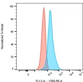 Axl Antibody (enapotamab)