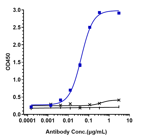 IL-17/IL-17A Antibody (secukinumab)