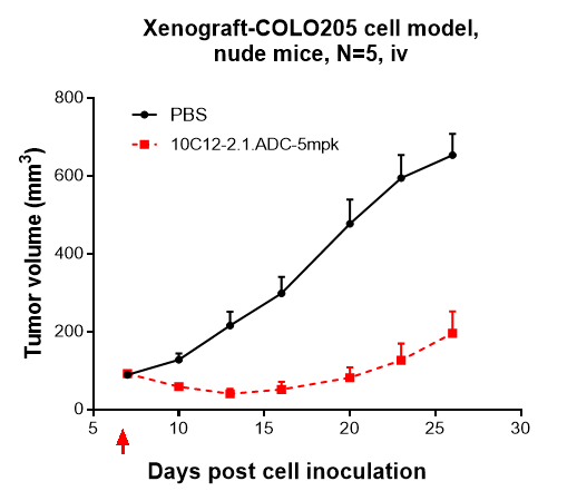 Cadherin-17 Antibody (10C12) - Humanized