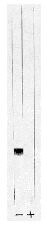 PP1 alpha/PPP1A Antibody