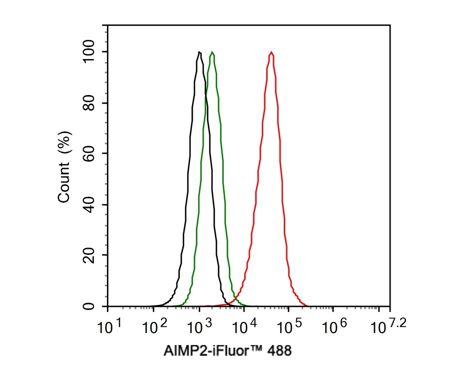 AIMP2 Antibody (PSH0-75)