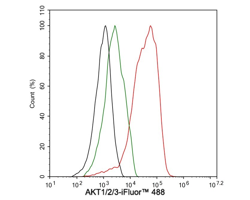 AKT1/2/3 Antibody (JE75-09)