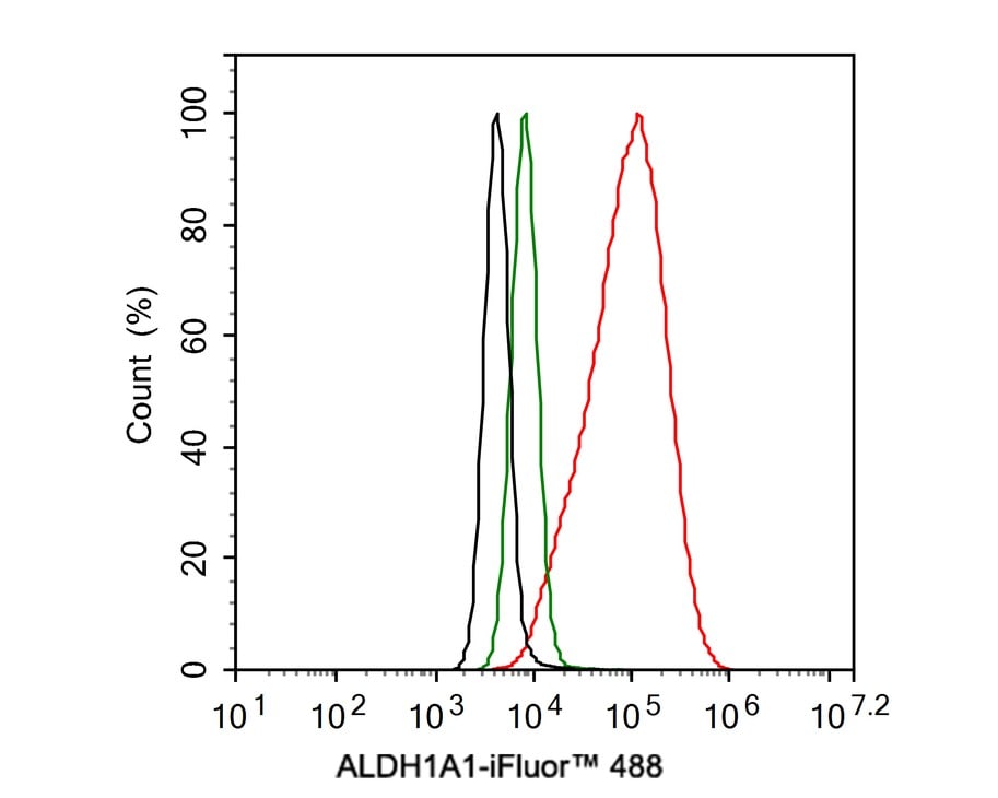 Aldehyde Dehydrogenase 1-A1/ALDH1A1 Antibody (8F1-R)