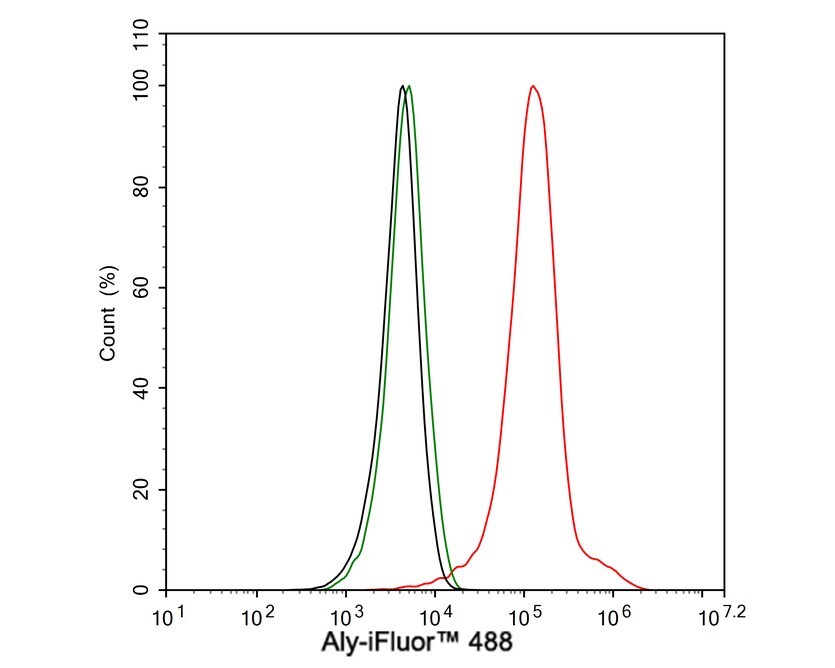 Aly Antibody (JE36-45)