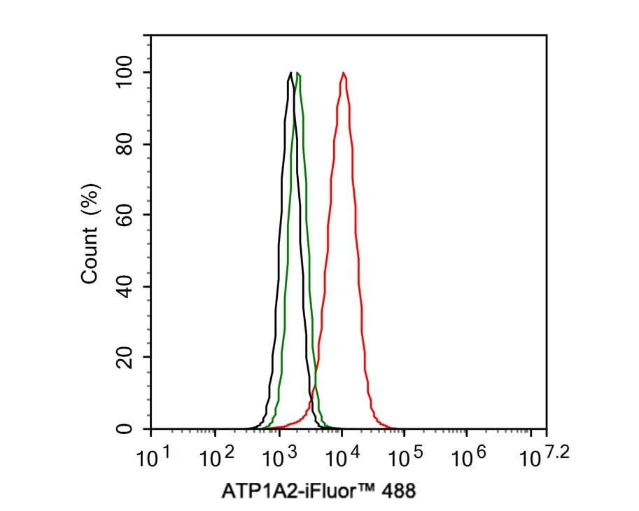 Sodium Potassium ATPase Alpha 2 Antibody (JE34-00)