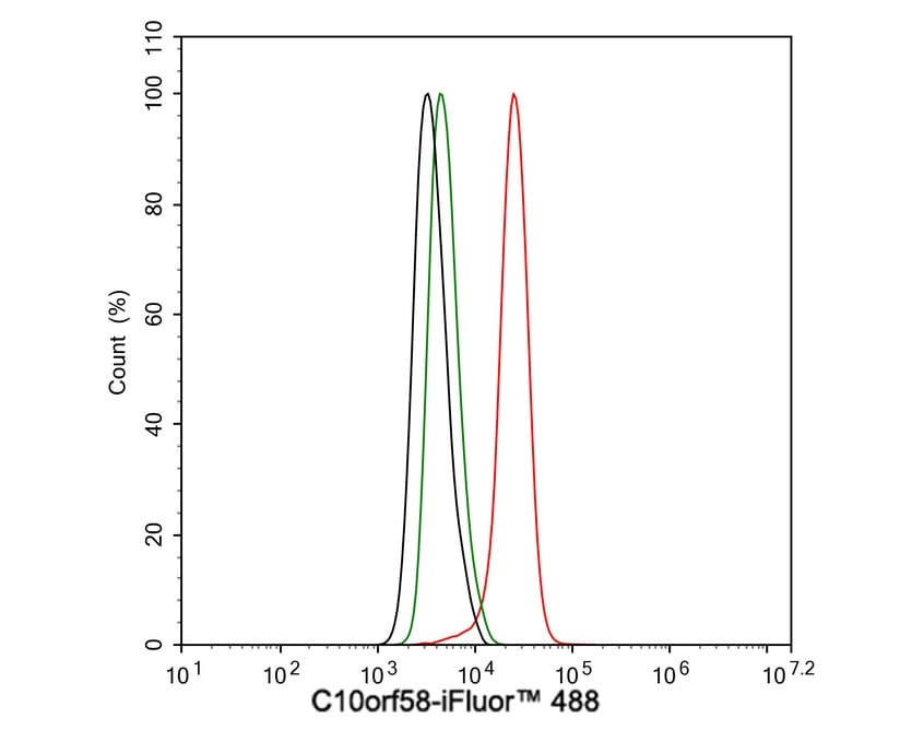 FAM213A Antibody (7-B7-R)
