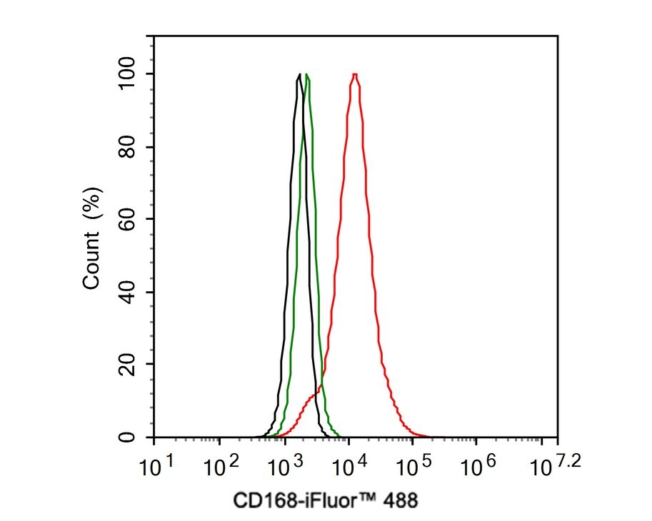 RHAMM/CD168 Antibody (PSH02-16)