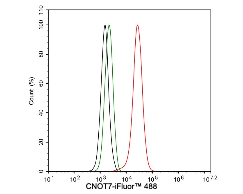 CNOT7 Antibody (PSH02-81)