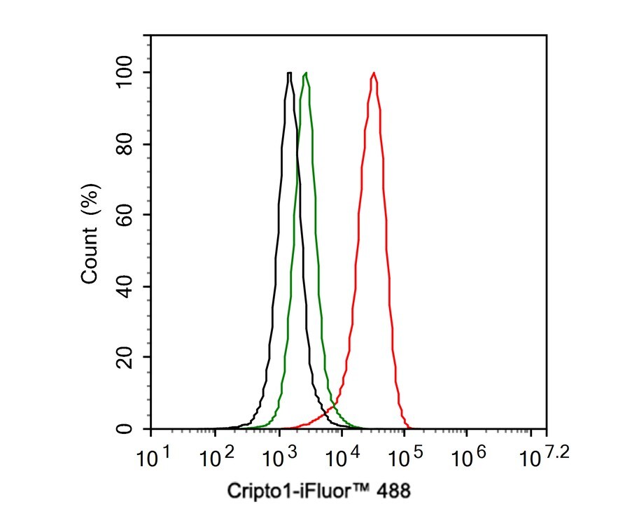 CRIPTO Antibody (JE33-31)