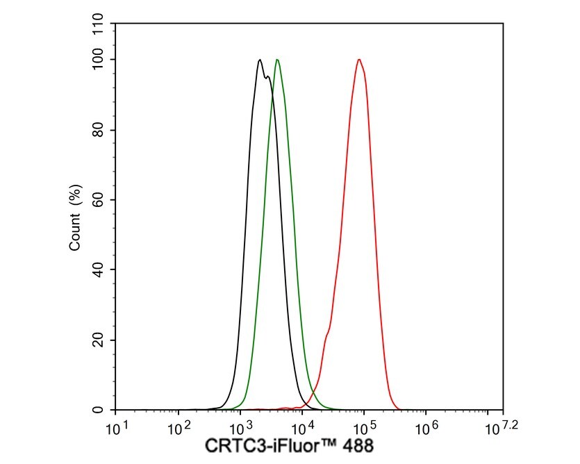 TORC3/CRTC3 Antibody (JE63-18)