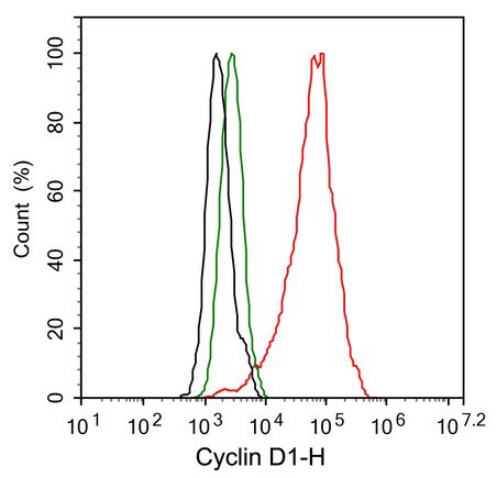 Cyclin D1 Antibody (PD01-64)