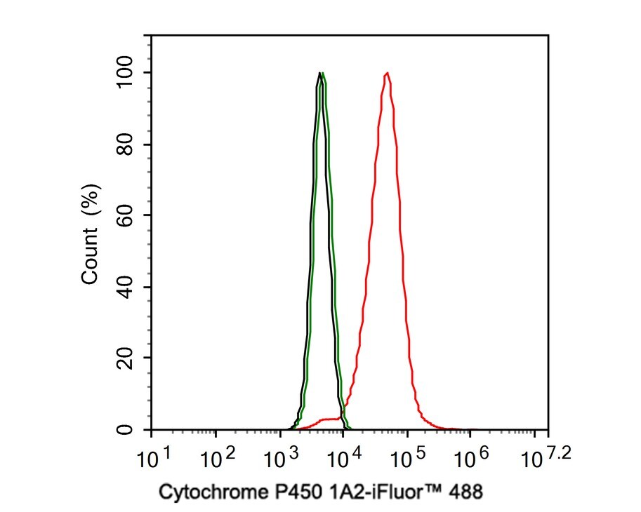 Cytochrome P450 1A2 Antibody (JE39-22)